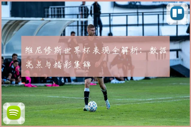 维尼修斯世界杯表现全解析:数据亮点与精彩集锦
